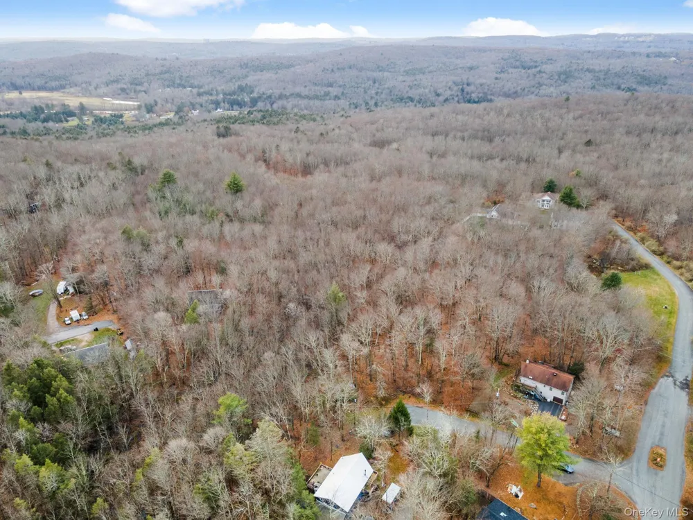 Cathalia Ct Tr 154e Fallsburg, NY 12733