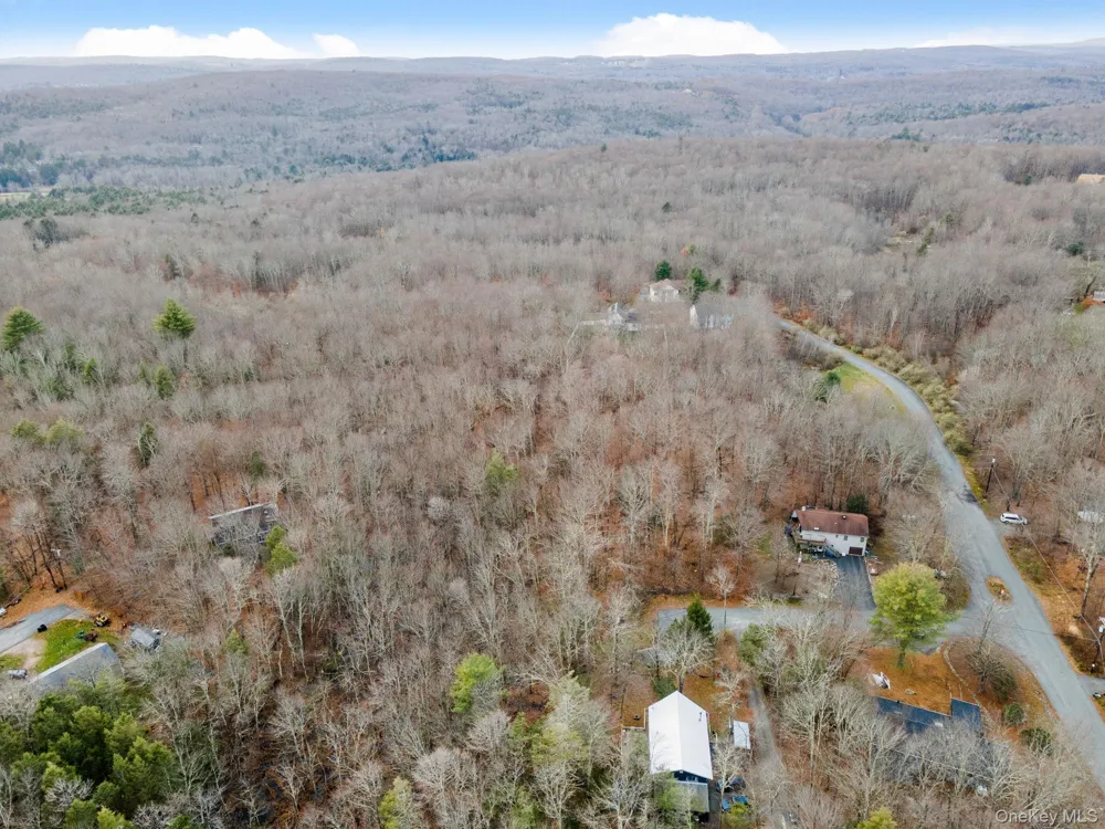 Cathalia Ct Tr 154e Fallsburg, NY 12733