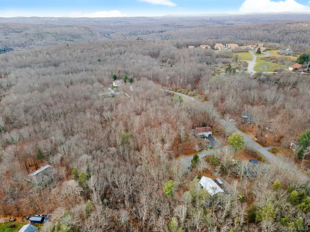 Cathalia Ct Tr 154e Fallsburg, NY 12733