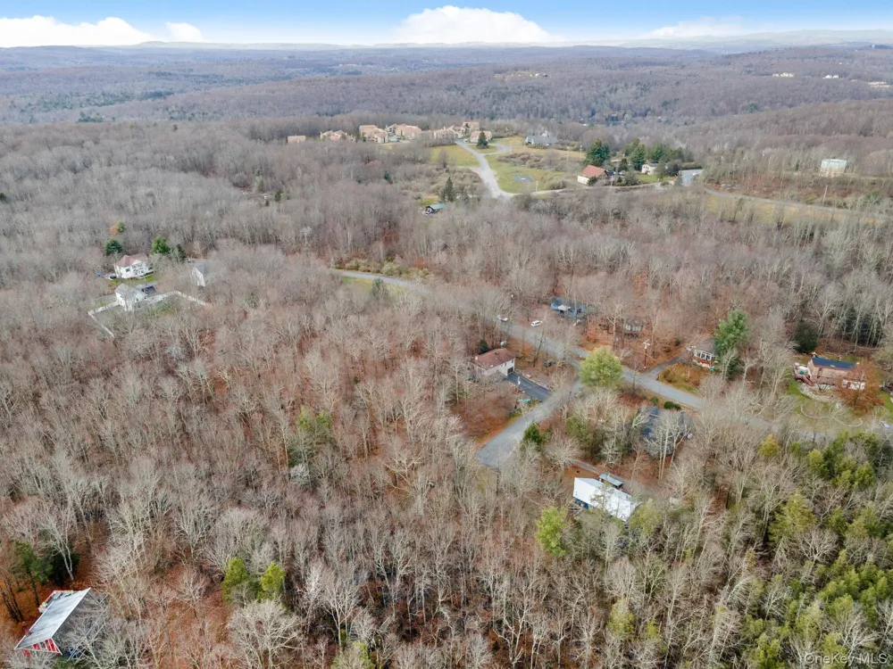 Cathalia Ct Tr 154e Fallsburg, NY 12733