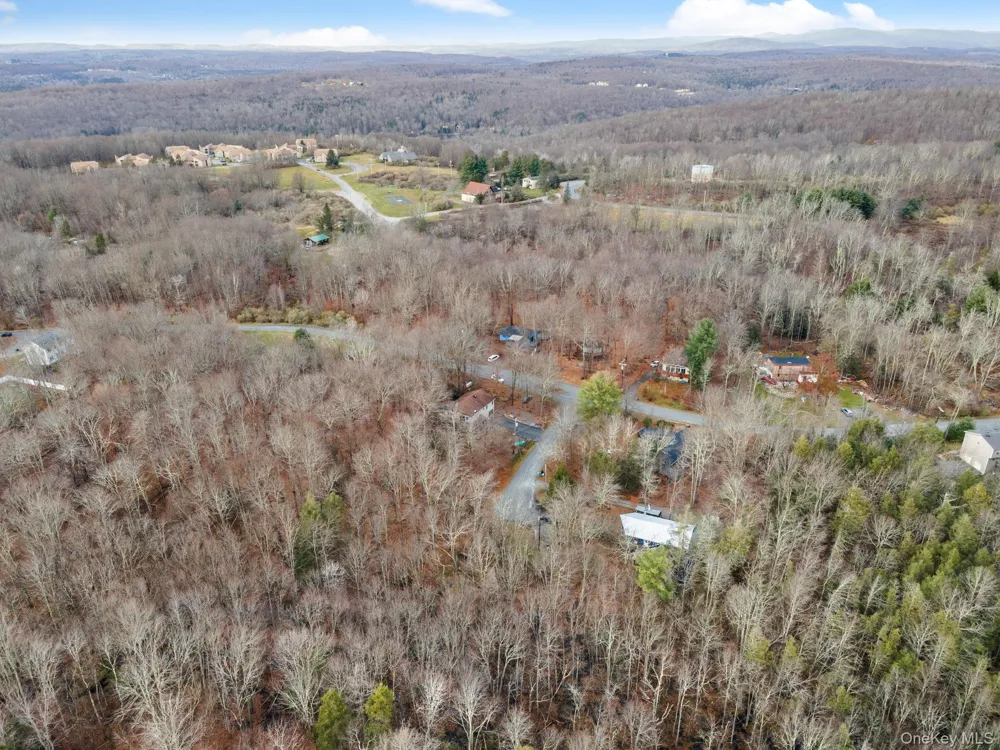 Cathalia Ct Tr 154e Fallsburg, NY 12733