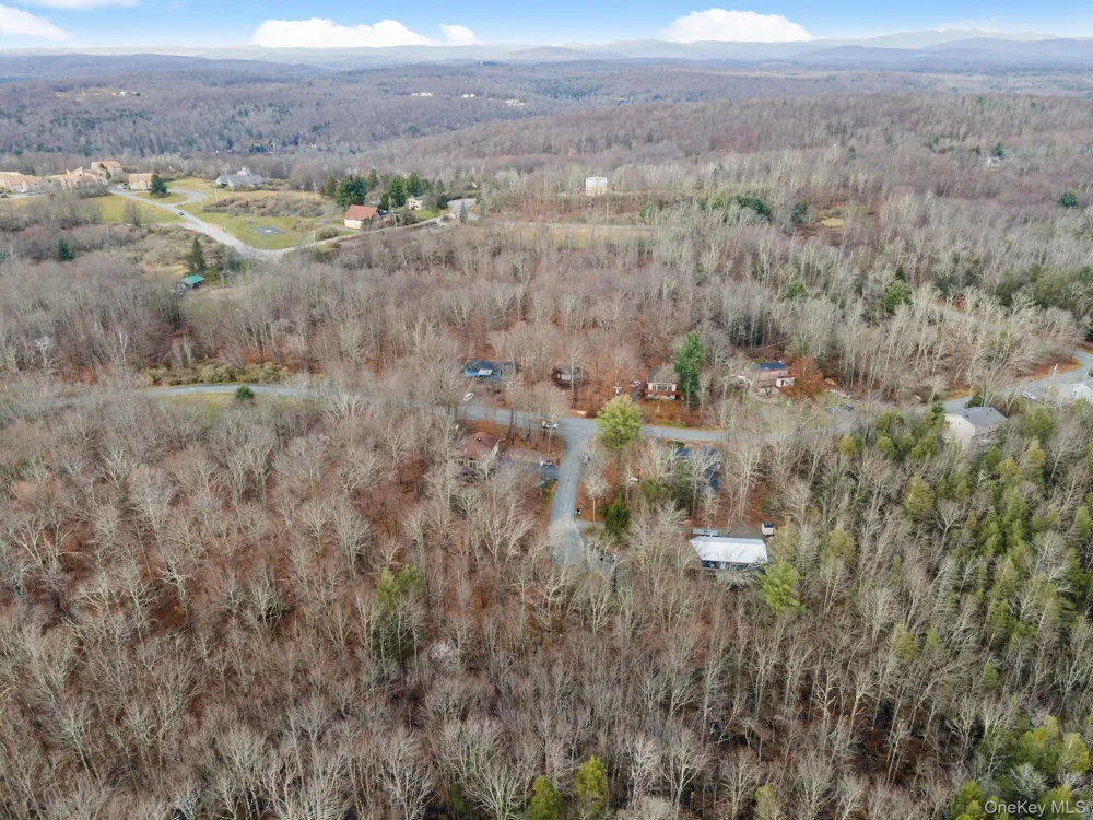Cathalia Ct Tr 154e Fallsburg, NY 12733