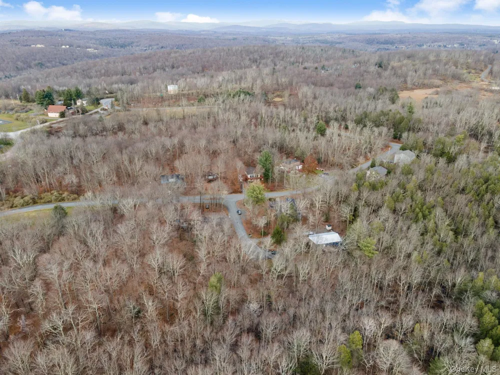 Cathalia Ct Tr 154e Fallsburg, NY 12733