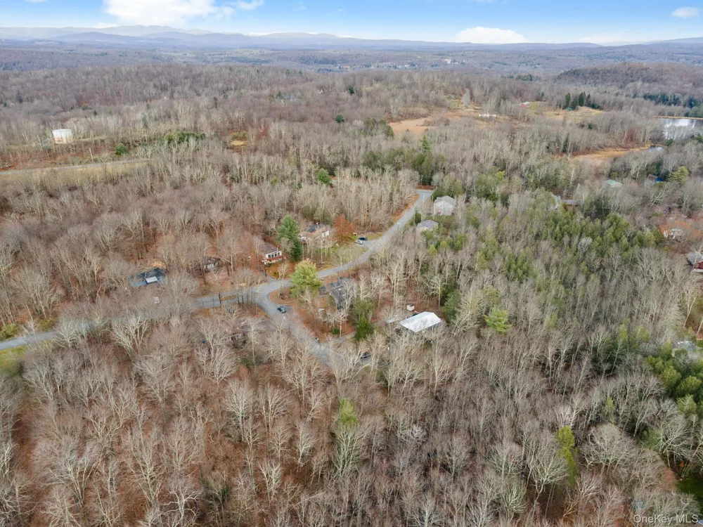 Cathalia Ct Tr 154e Fallsburg, NY 12733