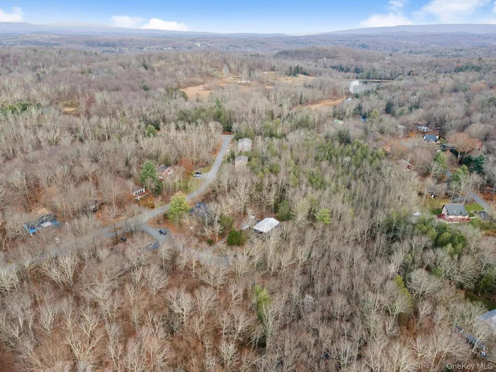 Cathalia Ct Tr 154e Fallsburg, NY 12733