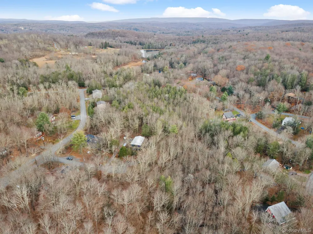 Cathalia Ct Tr 154e Fallsburg, NY 12733