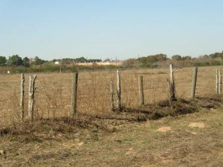 1966 Hluchan Road Sealy, TX 77474