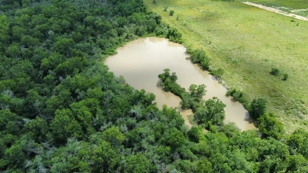 1966 Hluchan Road Sealy, TX 77474