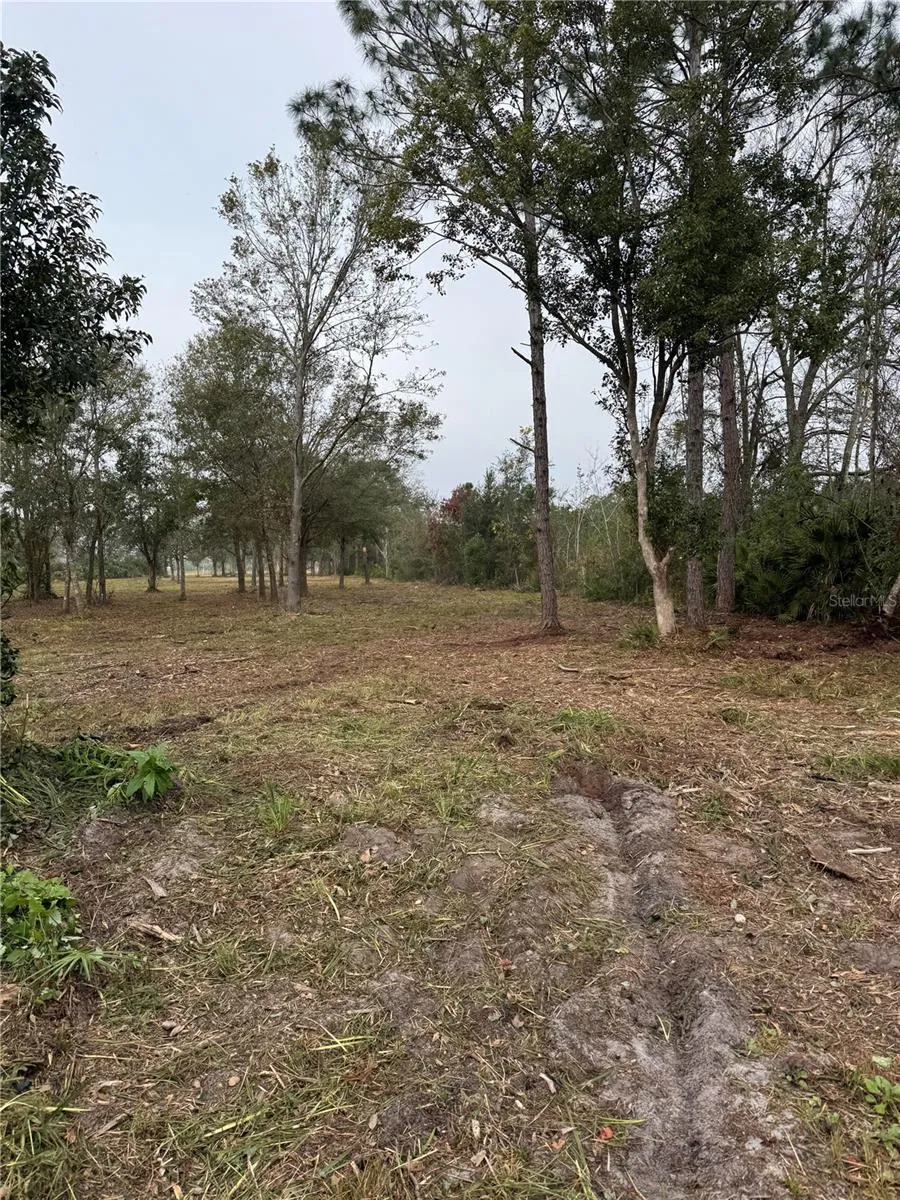 0 WEST FROSTPROOF ROAD Frostproof, FL 33843