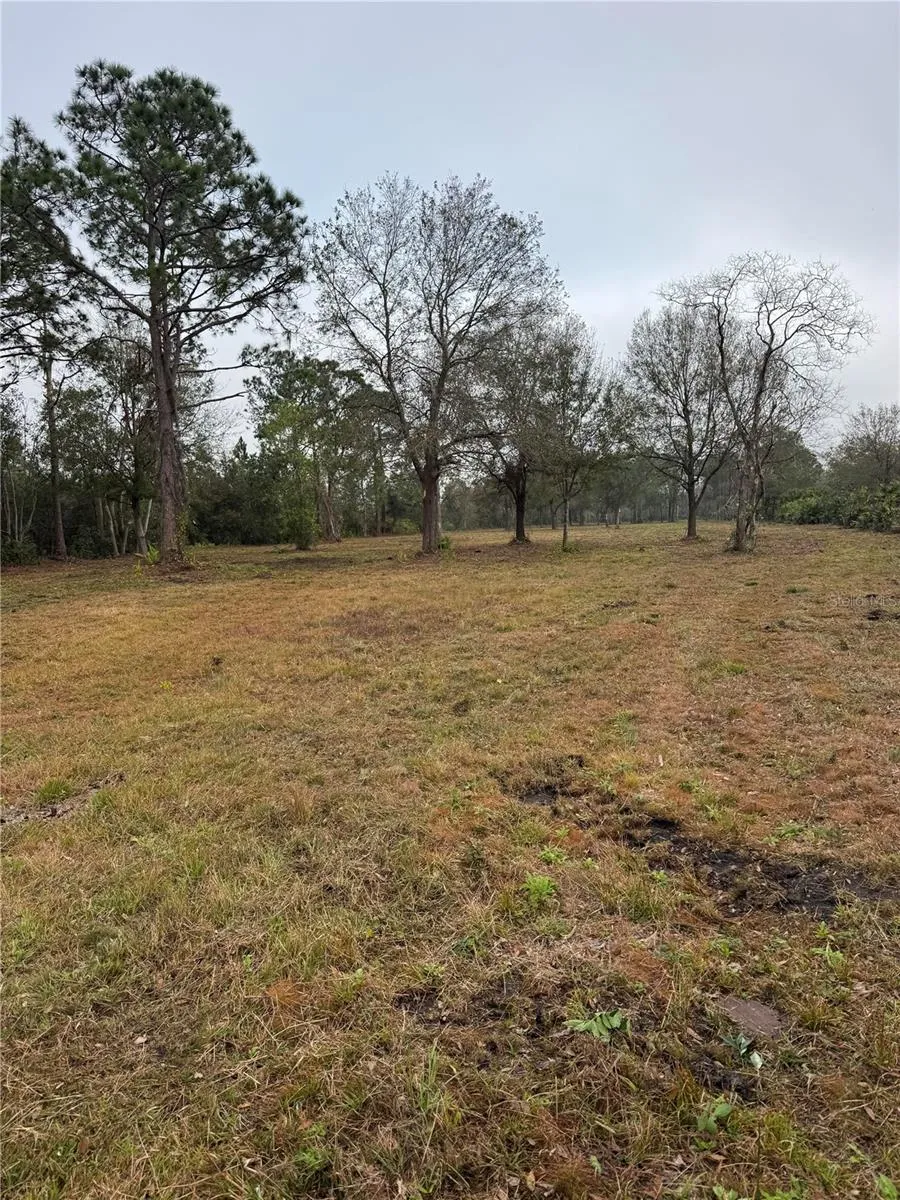 0 WEST FROSTPROOF ROAD Frostproof, FL 33843