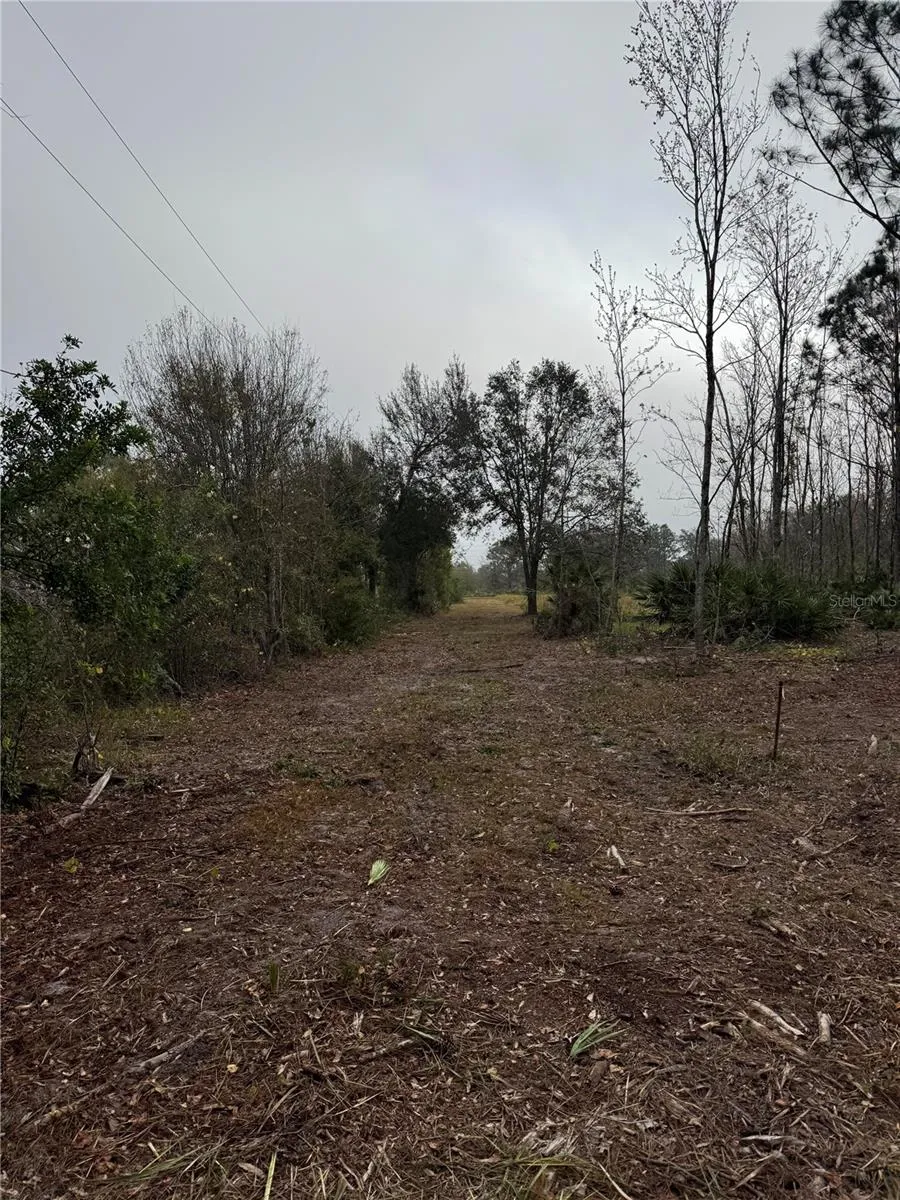 0 WEST FROSTPROOF ROAD Frostproof, FL 33843