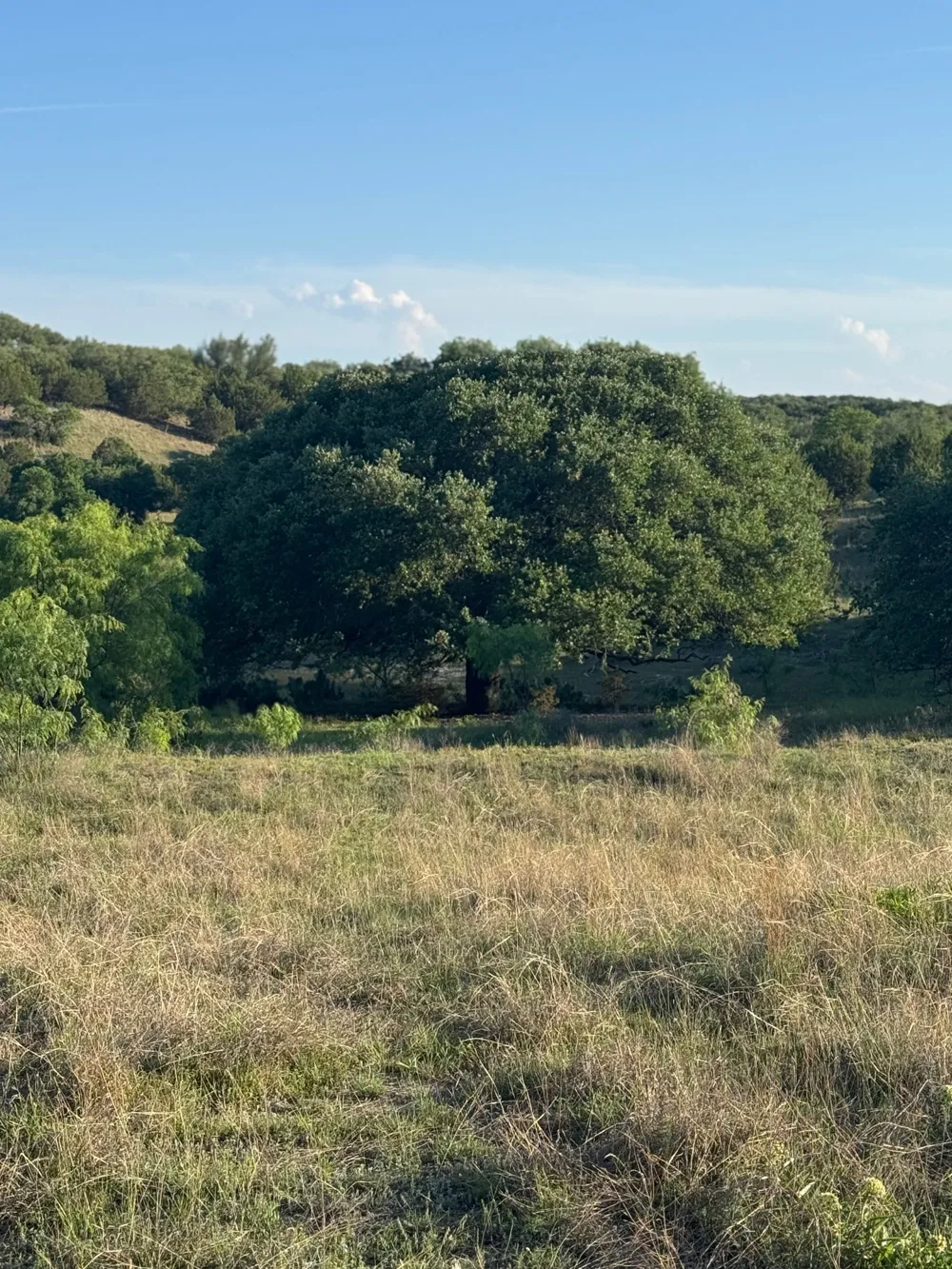 460 Private Road 1236 Lampasas, TX 76550