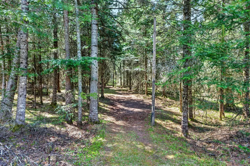 8225 Blaisdell Lake Winter, WI 54896