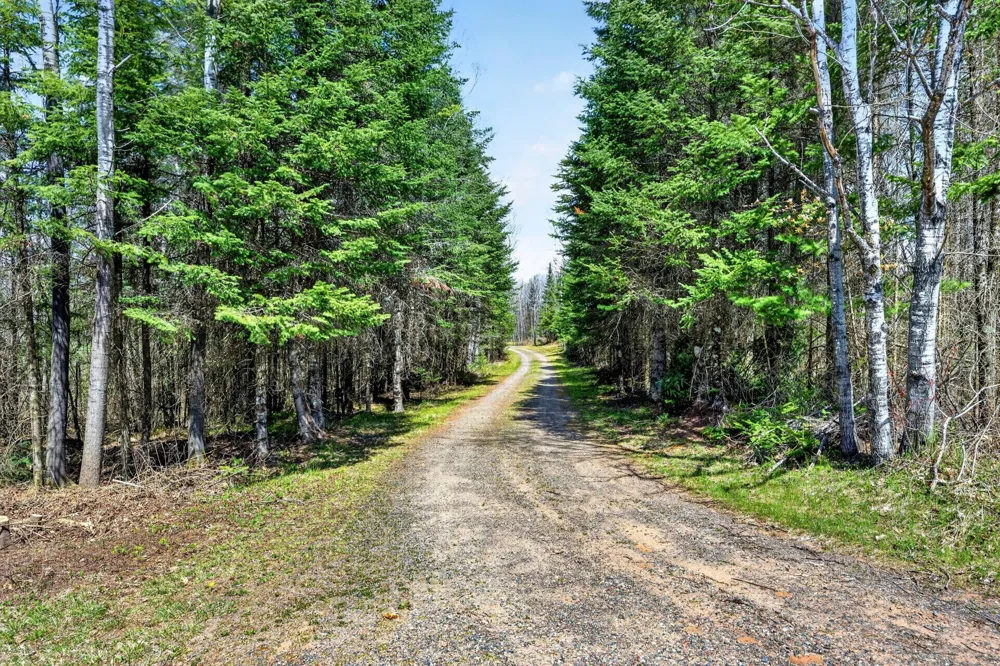 8225 Blaisdell Lake Winter, WI 54896