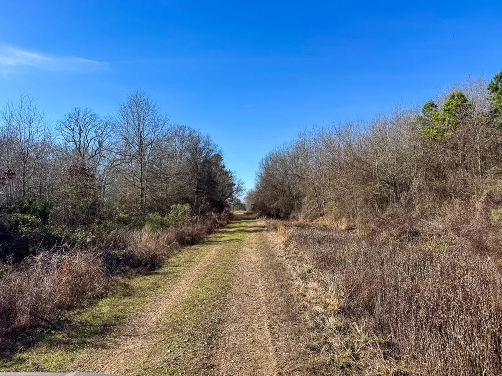 1 Highway 37 Bagwell, TX 75412