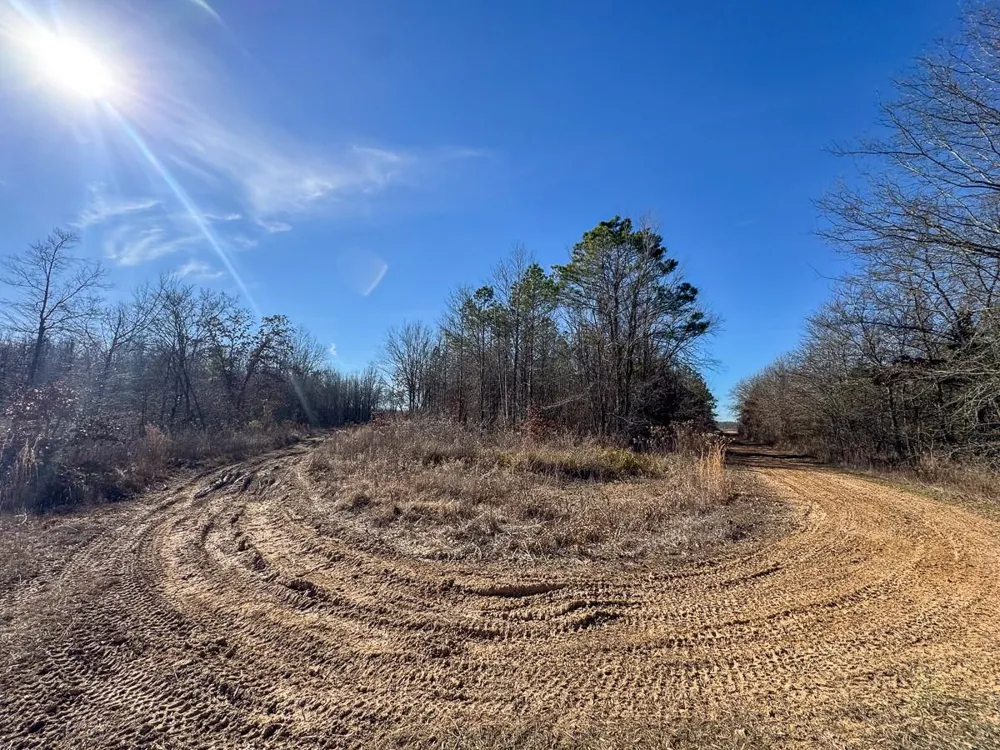 1 Highway 37 Bagwell, TX 75412
