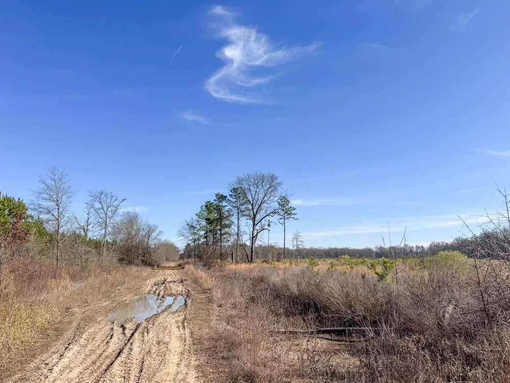 1 Highway 37 Bagwell, TX 75412