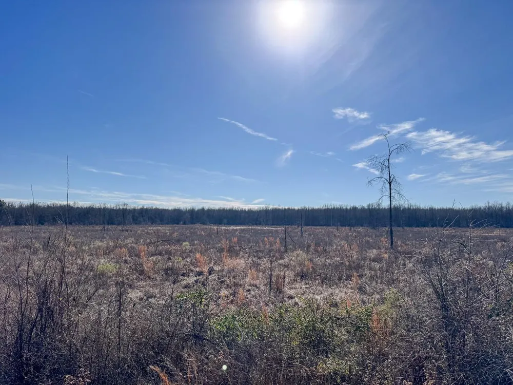 1 Highway 37 Bagwell, TX 75412
