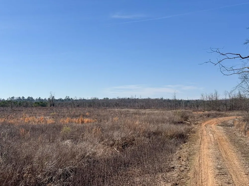1 Highway 37 Bagwell, TX 75412
