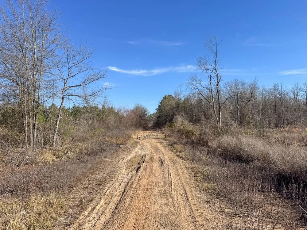 1 Highway 37 Bagwell, TX 75412