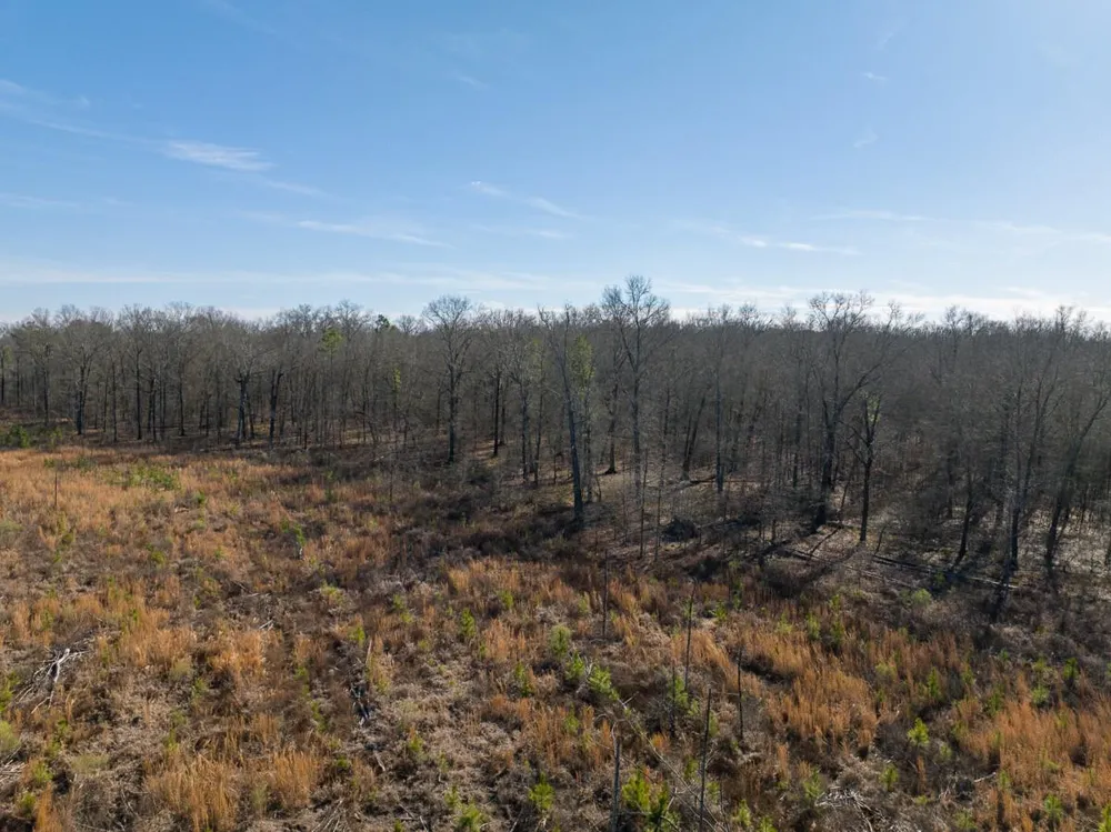 1 Highway 37 Bagwell, TX 75412