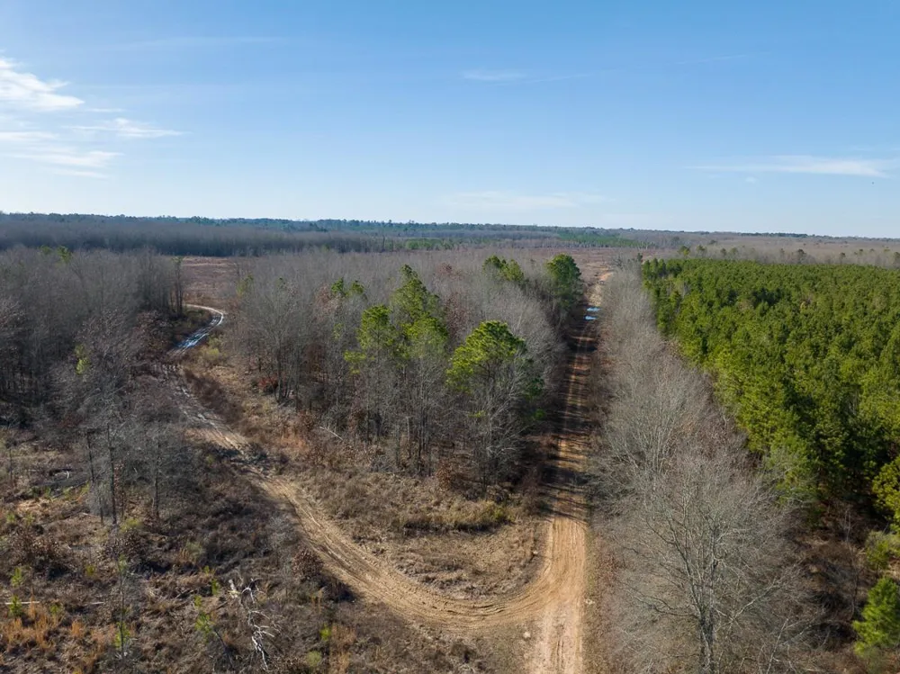 1 Highway 37 Bagwell, TX 75412