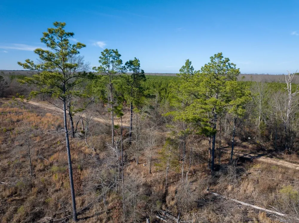 1 Highway 37 Bagwell, TX 75412