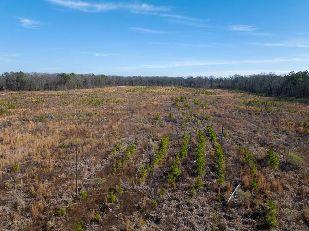 1 Highway 37 Bagwell, TX 75412