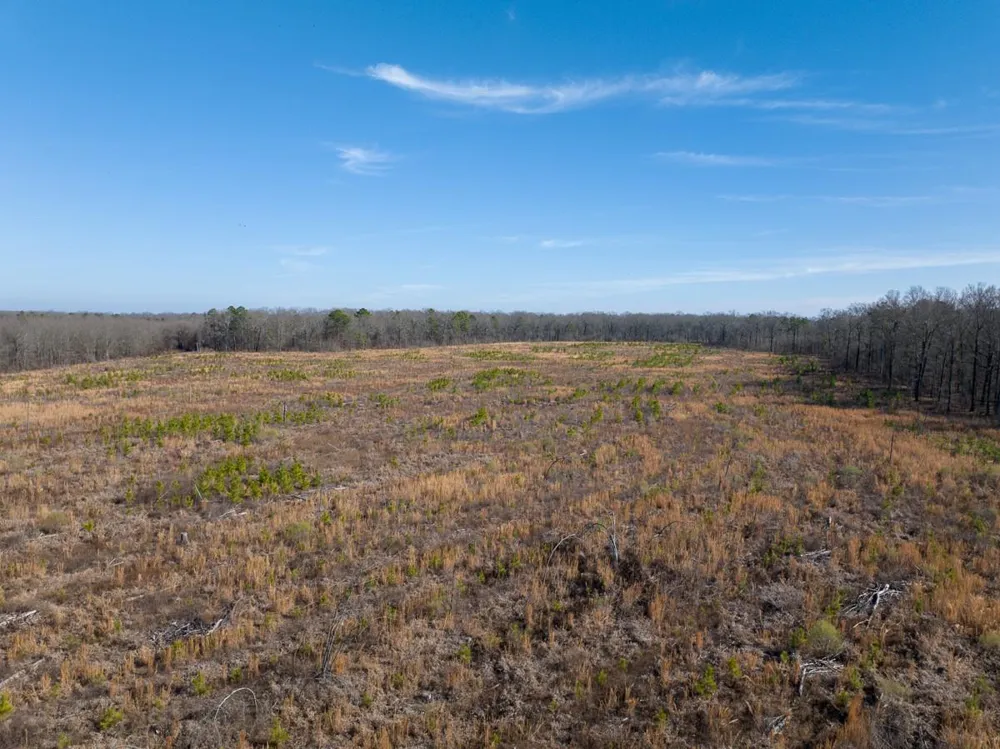 1 Highway 37 Bagwell, TX 75412