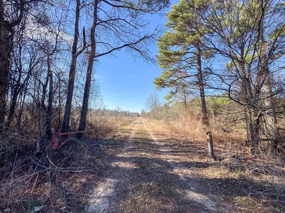 1 Highway 37 Bagwell, TX 75412