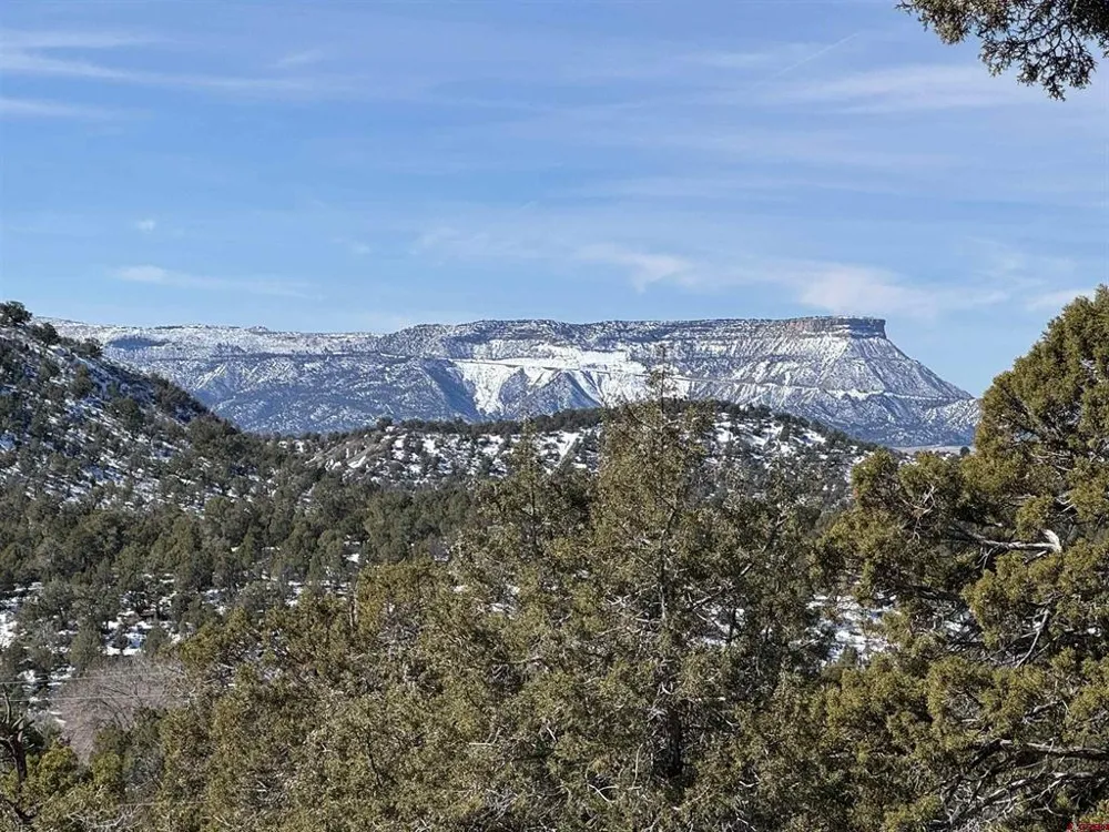 Road 41.4 Mancos, CO 81328