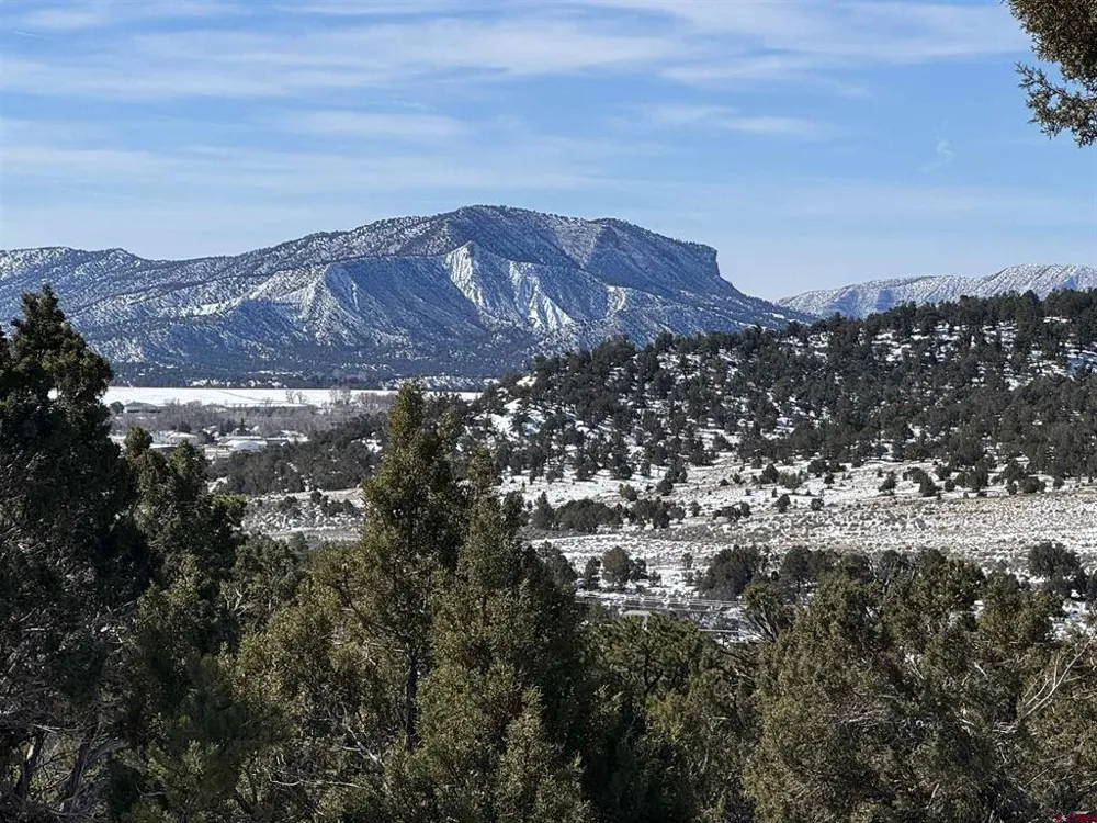 Road 41.4 Mancos, CO 81328