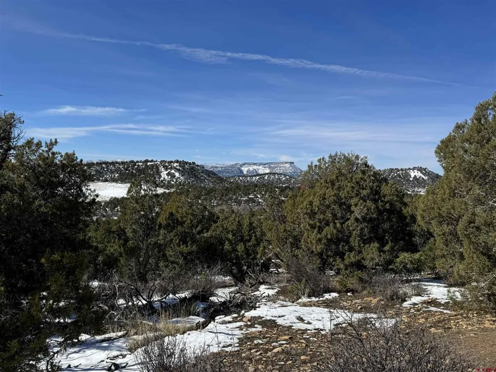 Road 41.4 Mancos, CO 81328