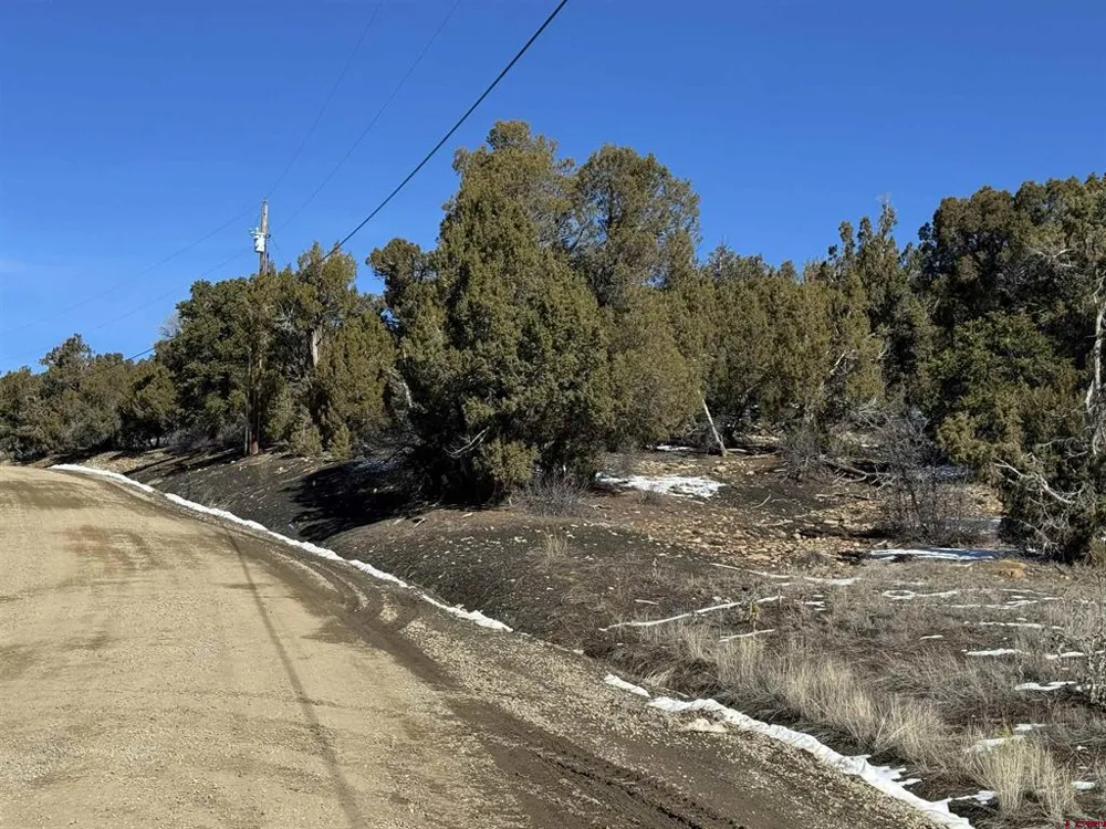 Road 41.4 Mancos, CO 81328