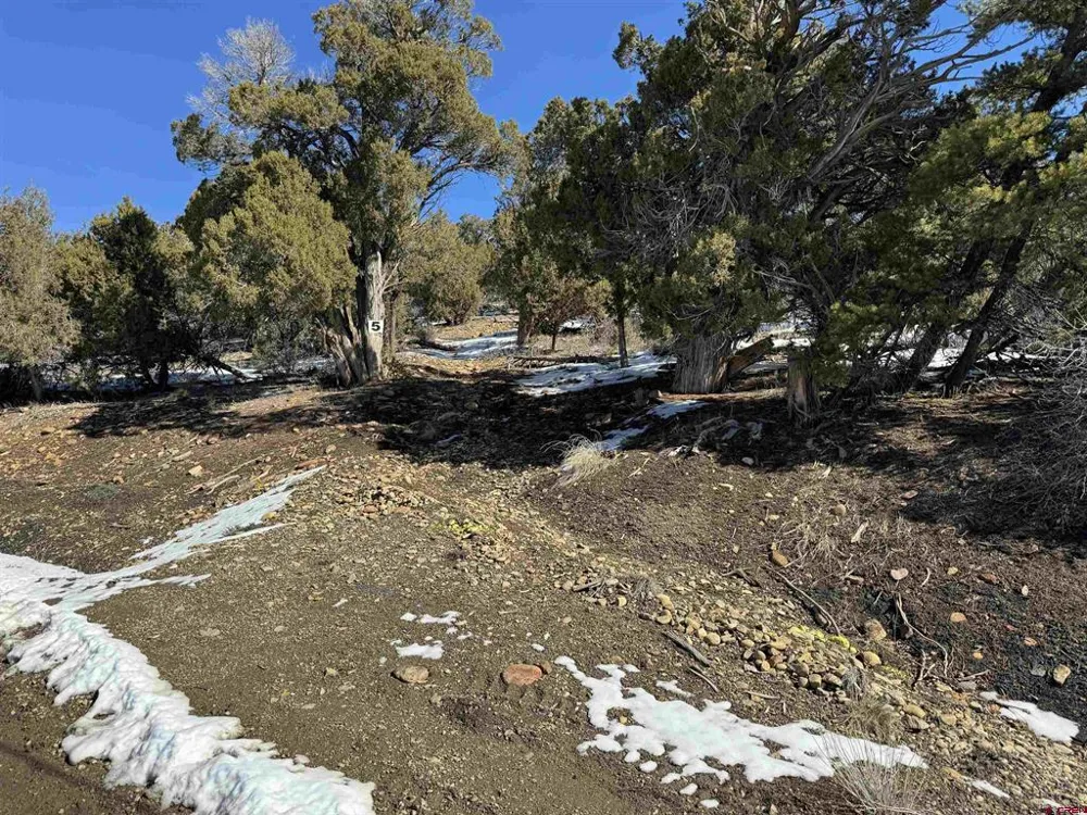 Road 41.4 Mancos, CO 81328