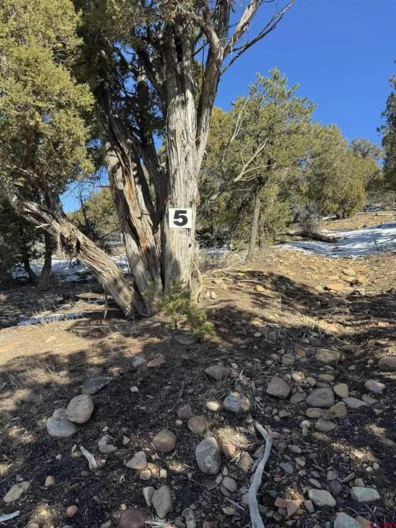 Road 41.4 Mancos, CO 81328