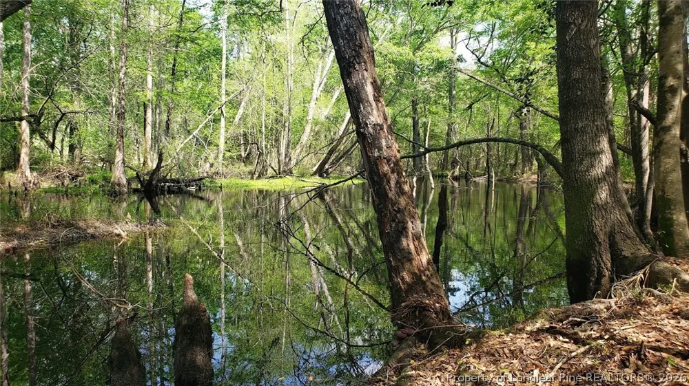52 Acres River Access Lumberton, NC 28360