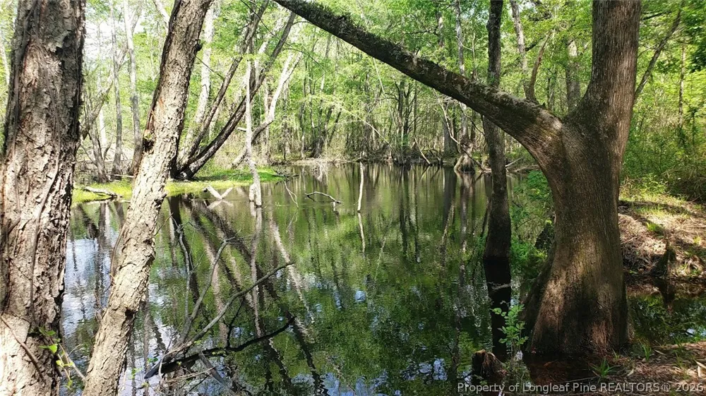 52 Acres River Access Lumberton, NC 28360