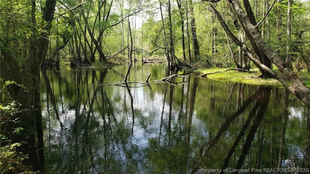 52 Acres River Access Lumberton, NC 28360