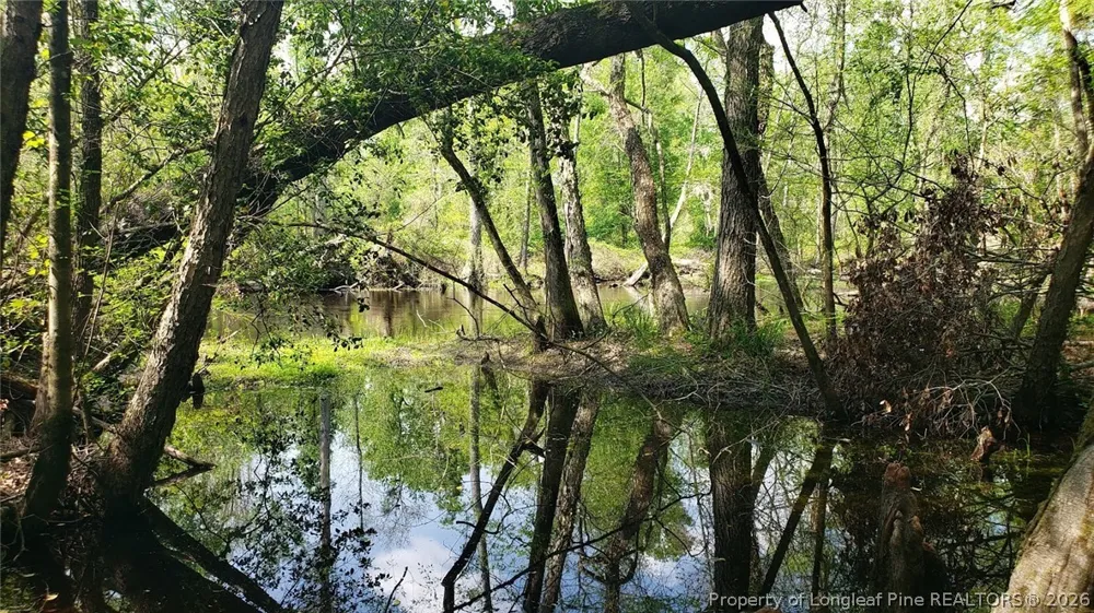 52 Acres River Access Lumberton, NC 28360