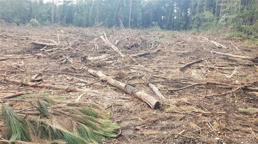 52 Acres River Access Lumberton, NC 28360