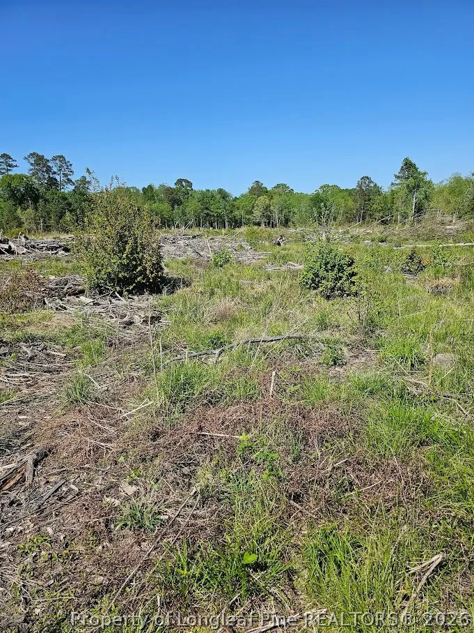 52 Acres River Access Lumberton, NC 28360