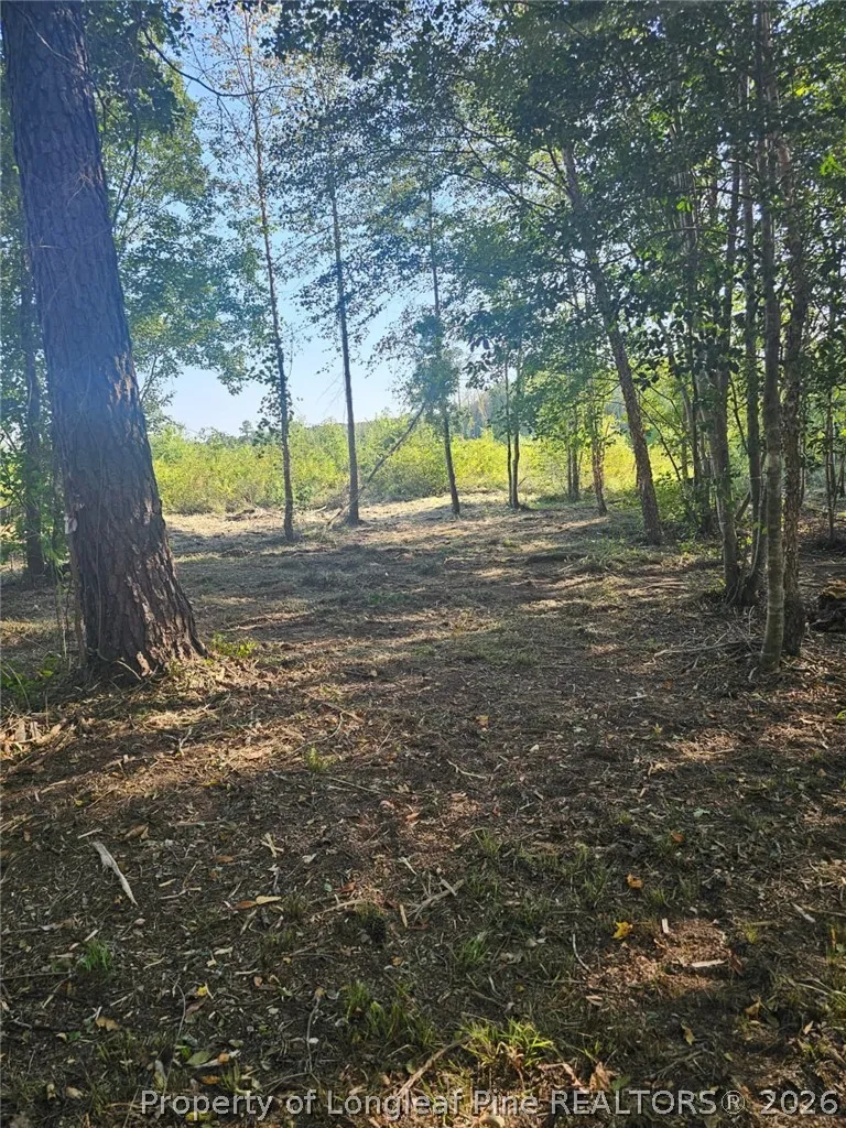 52 Acres River Access Lumberton, NC 28360