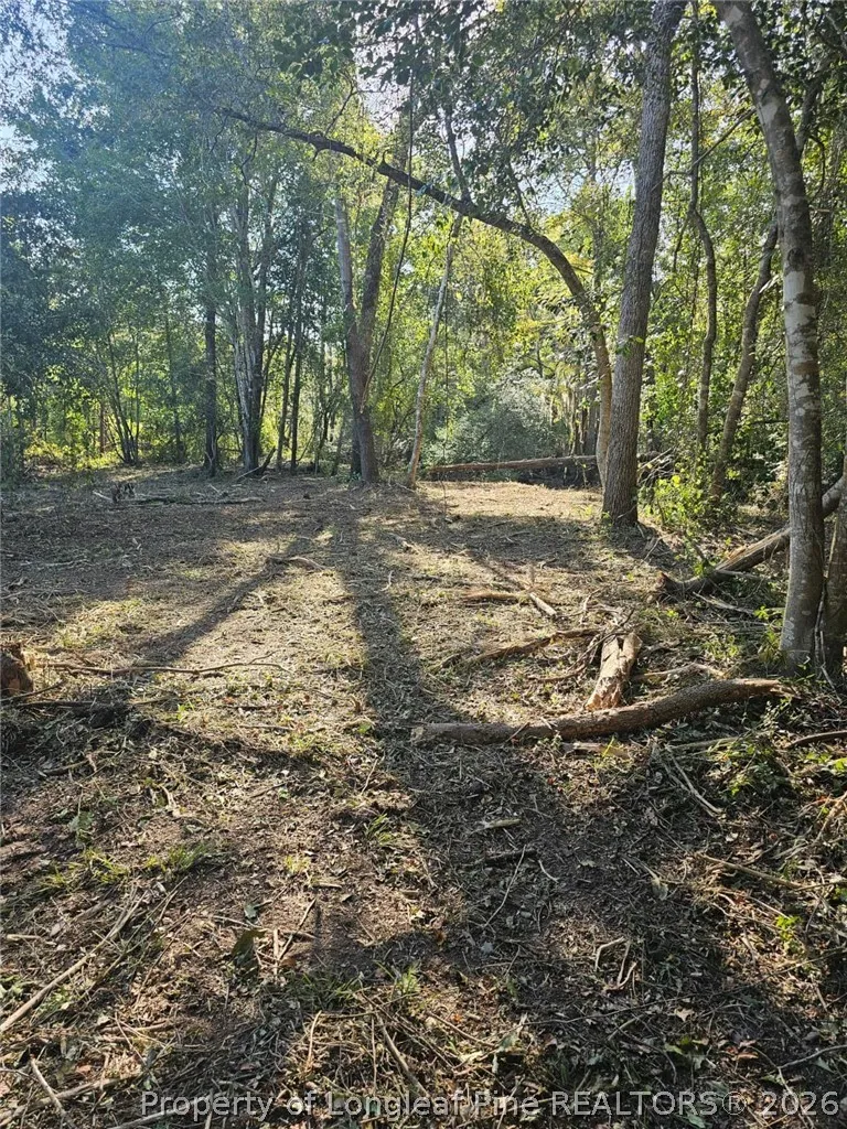 52 Acres River Access Lumberton, NC 28360