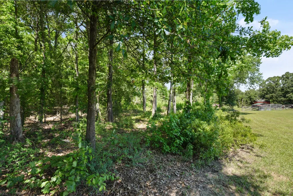 155 RS County Road 4261 Emory, TX 75440