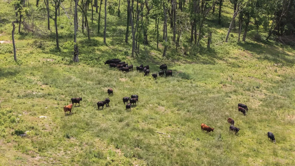 4303 Moore Ln Culleoka, TN 38451