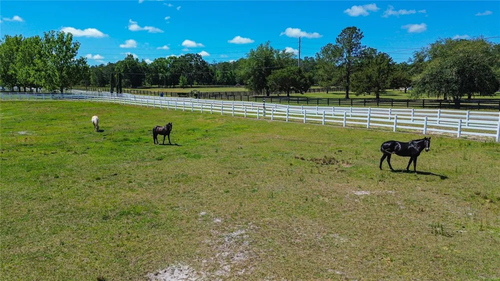 6489 QUARTERHORSE LANE Brooksville, FL 34604