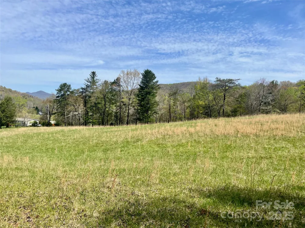 99999 Lollis Road Candler, NC 28715