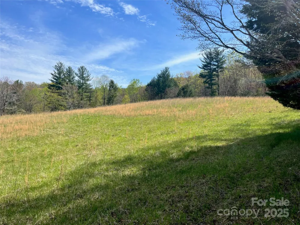 99999 Lollis Road Candler, NC 28715