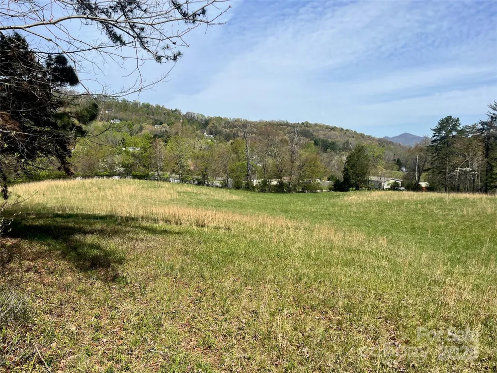 99999 Lollis Road Candler, NC 28715